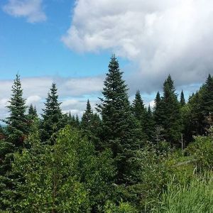 Meet your Posher, Hiba